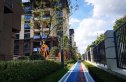 远洋棠悦山水实景图