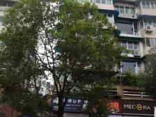 装修风格比较现代,保护的也好,完全可以拧包入住