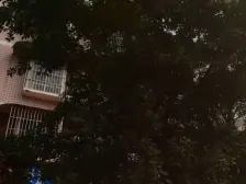 此房户型方正,目前房东自住,价格可议