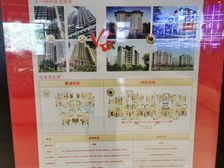 澳海望洲府6室2厅南