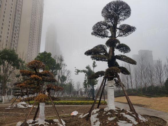 【武汉泛海桂府小区,二手房,租房】- 武汉房天下