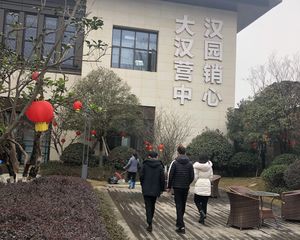 湘江新区高铁西,复式小高 毛坯