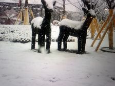 清鸥·教育天地3室1厅东西