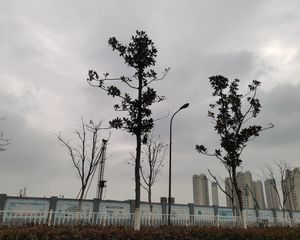 绿地铂澜府3室2厅南
