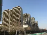 在建工地实景图