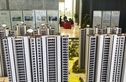 金地中奥九颂·都会之光实景图