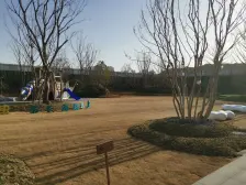 楼层好,大横厅,采光充足,诚心出售