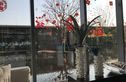 正荣中奥悦玺台实景图