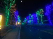 天立教育城 3室2厅 南 北