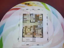 碧桂园九英里86平户型样板间户型图