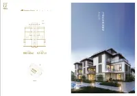 20#地块-230㎡合院C