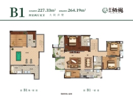 康田栖樾2室2厅1厨2卫建面264.19㎡