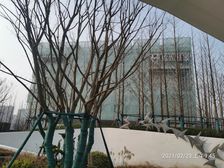 雅居乐锦尚雅宸4室2厅东南