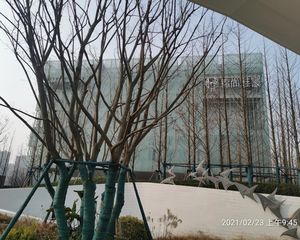 雅居乐锦尚雅宸4室2厅南北