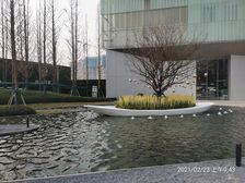 雅居乐锦尚雅宸4室2厅西南