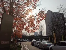 大花园!大花园!1楼花园洋房,安静得很