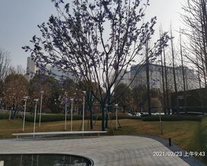 雅居乐锦尚雅宸4室1厅东南