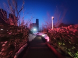 售楼处门口景观