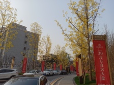 南山云璟横厅洋房,朝南,看中庭,采光好