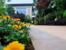 巴蜀 大阳台 真实在售 业主外地发展 急售房源捡漏