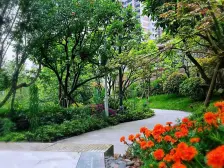 华侨城云溪都会 方正户型 采光好 近商圈 业主诚心