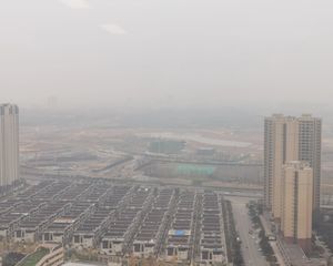 交投星月湖畔3室1厅南