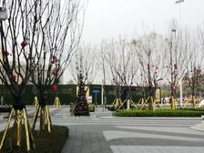 中海御湖世家西区 4室2厅 东南