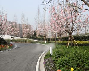 奥园麓语ONE4室1厅南