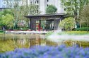 珠海恒大滨江左岸实景图