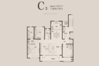 C3-3室2厅2卫142㎡户型