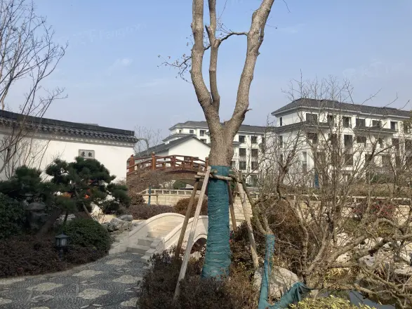 璟雲里