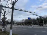 周边配套之道路