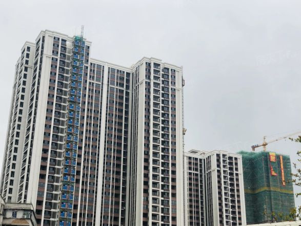 【湛江钰海豪庭小区,二手房,租房】- 湛江房天下