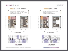 白马湖公馆2室2厅1厨1卫建面45.00㎡