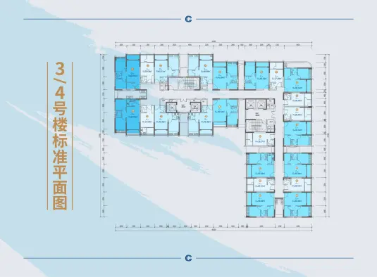 楼栋平面图