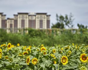 来康俊温泉入户叠拼别墅带小院有本可自住可民宿