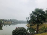 周边枫香湖儿童公园