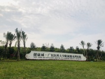 鼎龙湾国际海洋度假区实景图