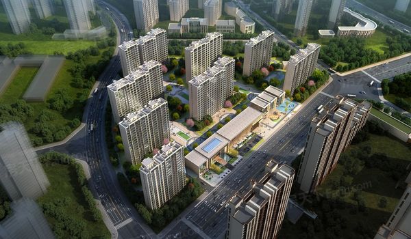 ��̩���������B��