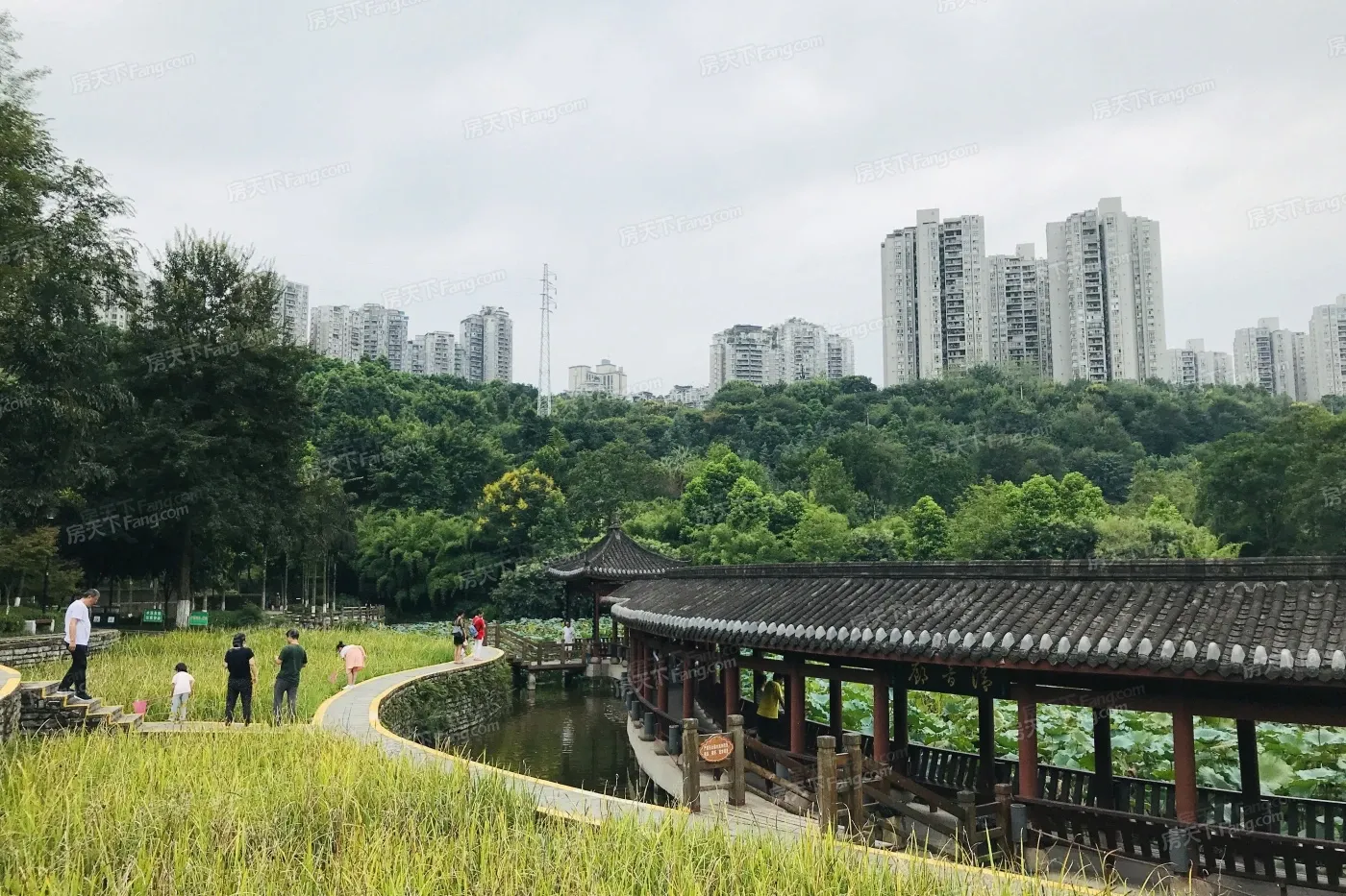 江北嘴·公园里