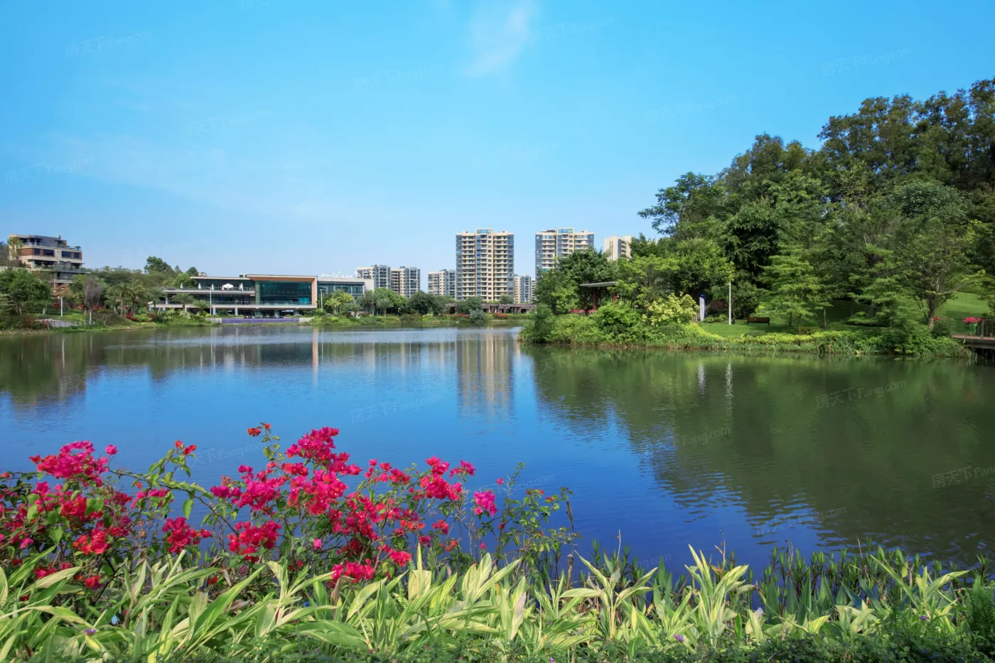 碧桂园湖光山色