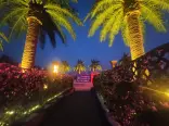售楼处夜景