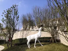 双福片区 恒大健康城一期B组团二房47万