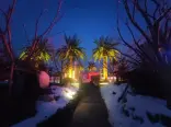 售楼处夜景