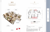 户型B 建面114.59-115.93平米 3室2卫