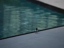 近万达广场,近轻轨,央企品牌保障,环境安静