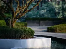 近万达广场,近轻轨,央企品牌保障,环境安静