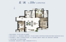 碧桂园花溪公馆星澜110㎡户型图