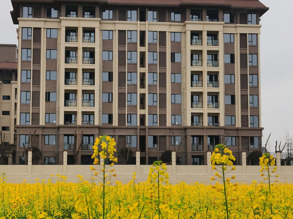 小区相关图