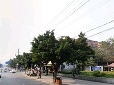 金松苑证件齐全,户型方正,装修舒适,采光明亮